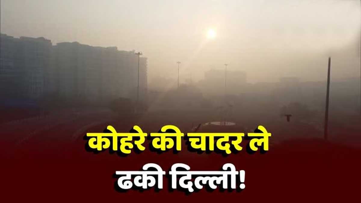 दिल्ली-एनसीआर ने ओढ़ी घने कोहरे की चादर, चारों तरफ दिखा ऐसा नजारा!